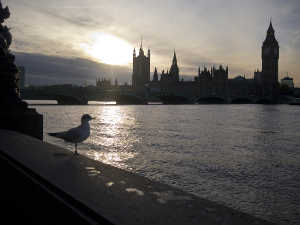 loneliness counselling in London, Camden, Kings Cross, beat loneliness, cure loneliness, lonely in london, alone in london, loneliness in london, Author: Nick Page, Title: London Sunset