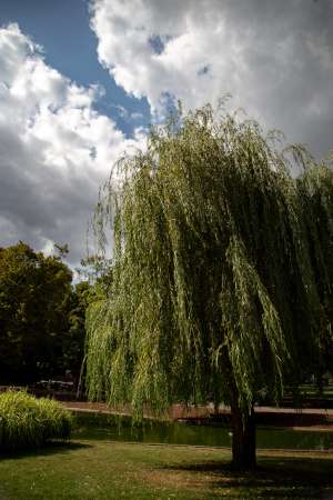 Psychotherapy for Depression in London, Camden, Kings Cross