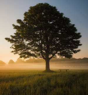 Counselling for Depression in London, Camden, near Kings Cross